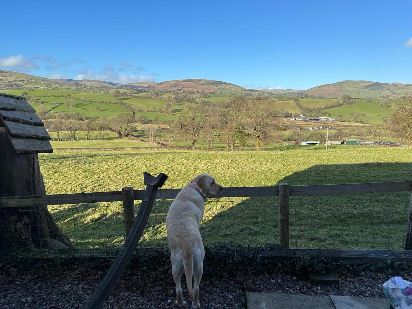 Llanrhaeadr-ym-Mochnant The Retreatヴィラ エクステリア 写真