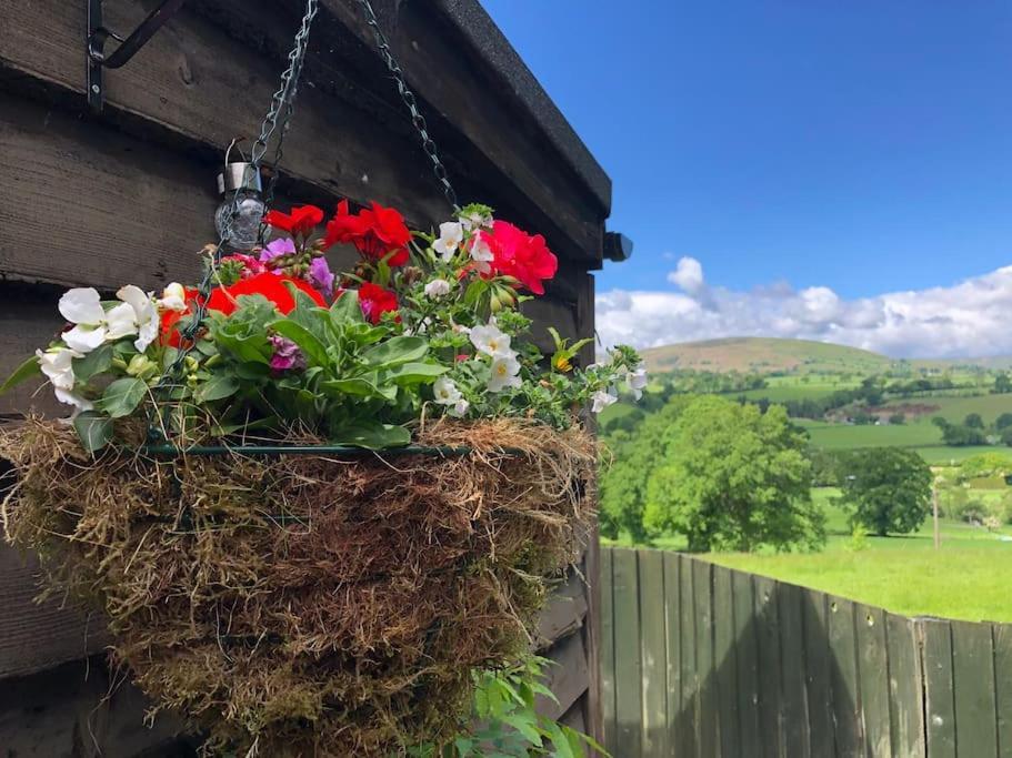 Llanrhaeadr-ym-Mochnant The Retreatヴィラ エクステリア 写真
